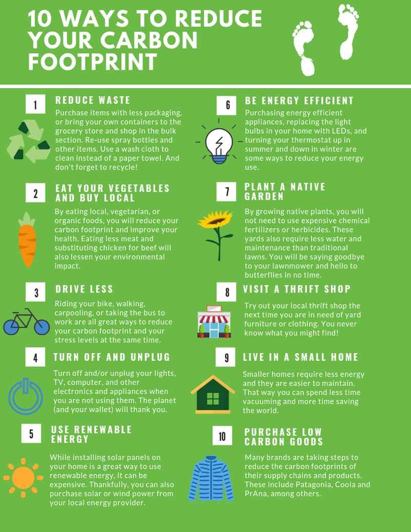 Understanding Your Carbon Footprint & How To Lower Your Emissions